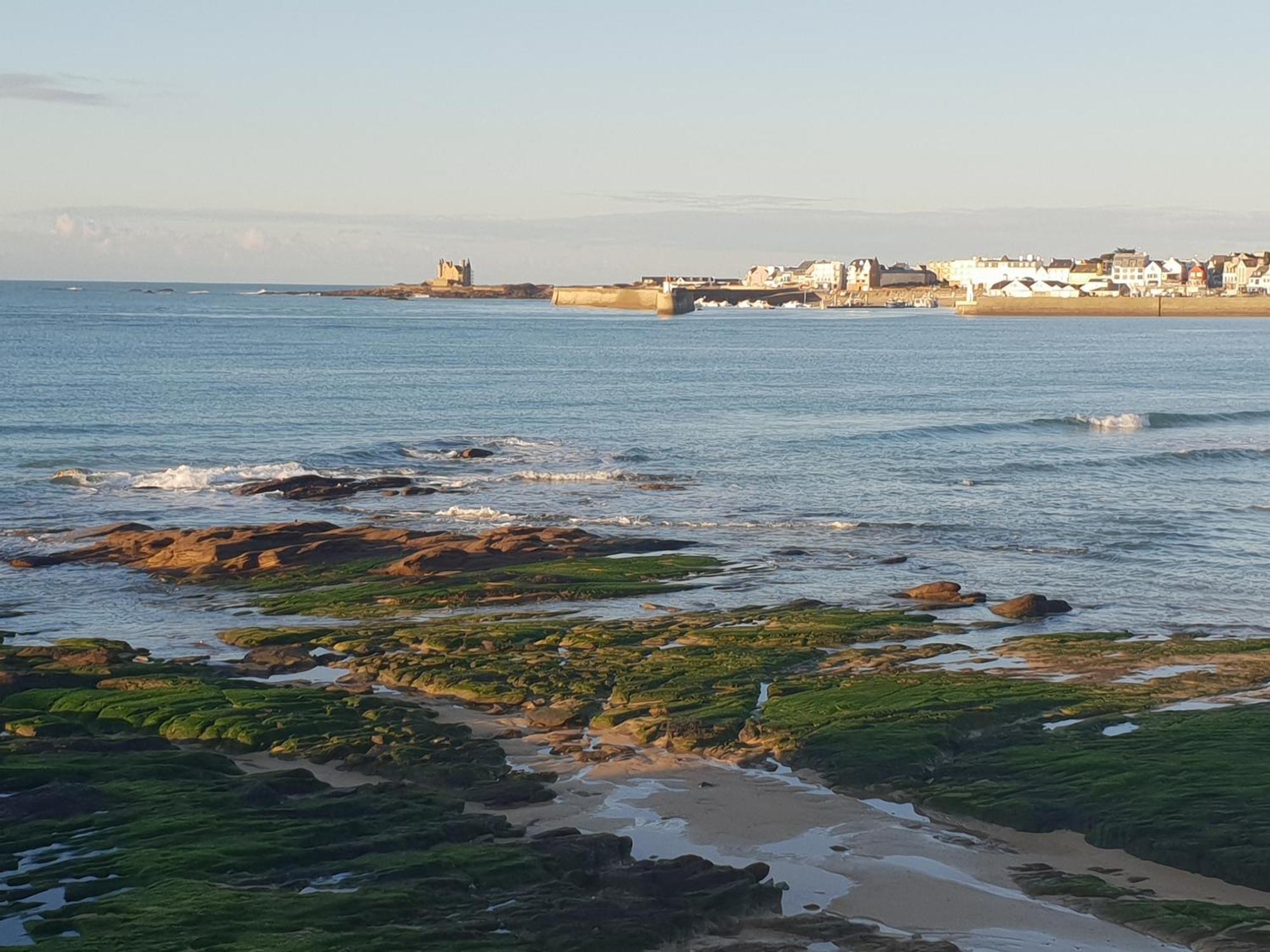 Appartement Cocon A Quiberon Dans Residence Calme, Plages Et Centre Ville A Pied Ou A Velo Pour 2 A 4 Personnes Exterior photo