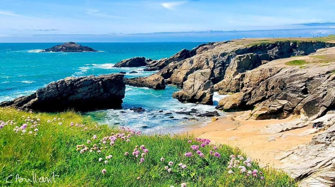 Appartement Cocon A Quiberon Dans Residence Calme, Plages Et Centre Ville A Pied Ou A Velo Pour 2 A 4 Personnes Exterior photo