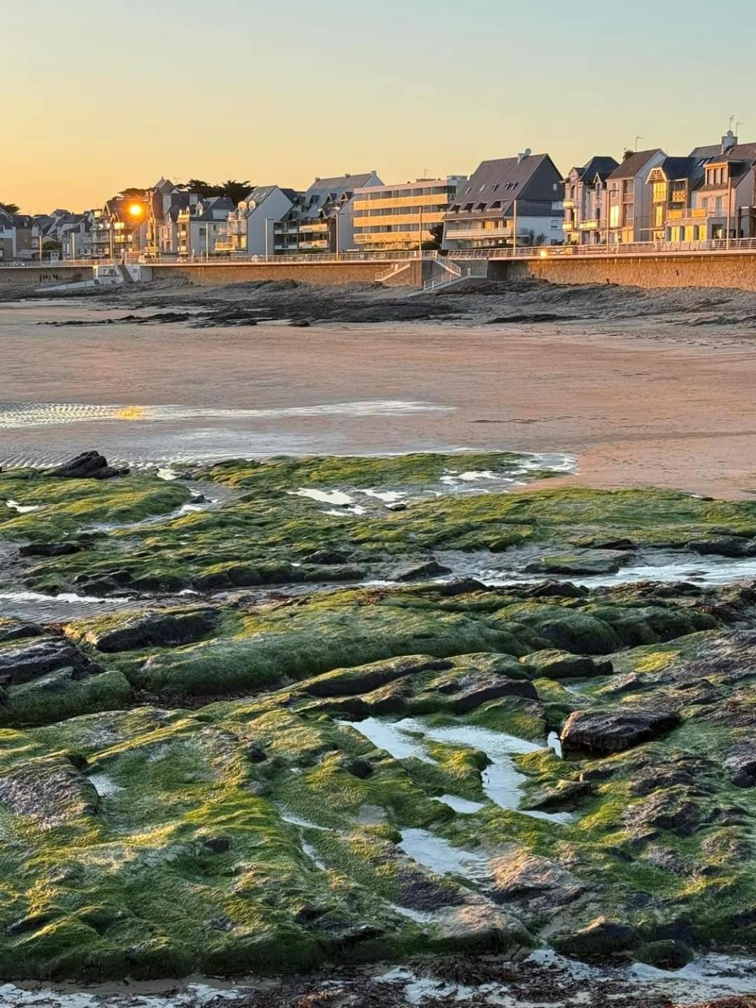 Appartement Cocon A Quiberon Dans Residence Calme, Plages Et Centre Ville A Pied Ou A Velo Pour 2 A 4 Personnes Exterior photo